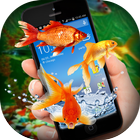 Fish on Screen Aquarium Joke -Golden Fish on Phone icône