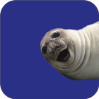 Selfie Seal Light icon
