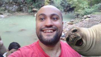 Selfie Seal Light Ekran Görüntüsü 1