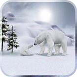 Arctic Home Live Wallpaper