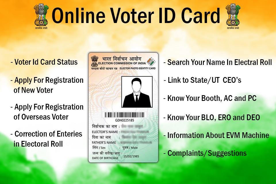 Vote id. Voter ID Card. Voter's Card. Voter list. Voter ID Mexico 2024.