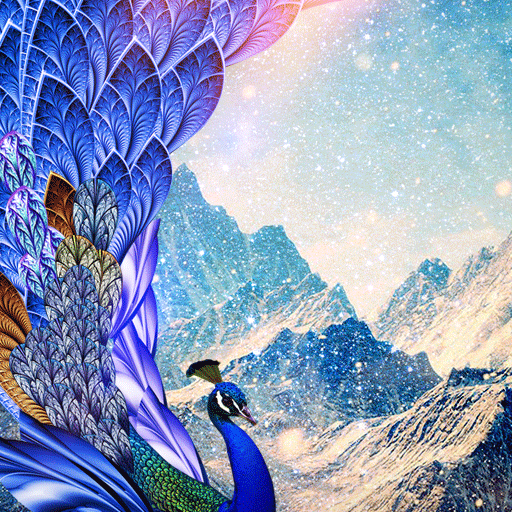 Colorful Peacock