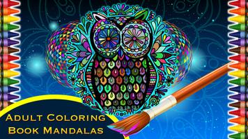 Adult Coloring Book Mandalas Affiche