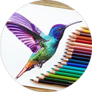 libro de colorear para mí: adultos para colorear APK