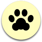 Cat Collection icon