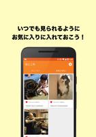 Cat Collection screenshot 1