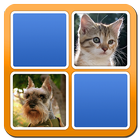 Match it আইকন