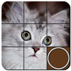 Sliding Puzzles APK