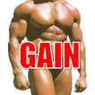 Muscle Gain Store