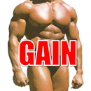 Muscle Gain Store APK
