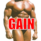 Muscle Gain Store アイコン