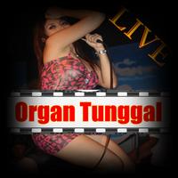 برنامه‌نما Organ Dangdut Live عکس از صفحه