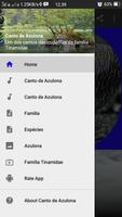 Canto de Azulona 海報