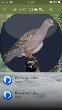 Canto Pomba do Orvalho screenshot 1