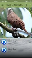 Canto de Rolinha Roxa ảnh chụp màn hình 1
