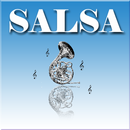 Sauce sans musique avec style APK