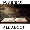 NIV Bible All About