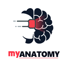 My Anatomy (VR) APK