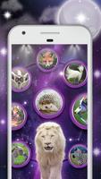 Quem eu fui na vida passada apps imagem de tela 1