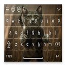 APK My Cute Cat Keyboard