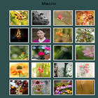 Macroscopic View آئیکن