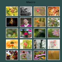 Macroscopic View 截圖 1