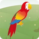 Chidiya Udd Online APK