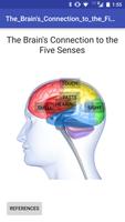 The Brain's Link to the Senses الملصق