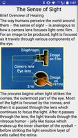 برنامه‌نما The Brain's Link to the Senses عکس از صفحه