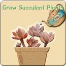 Grow plant APK