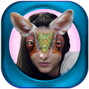Caras Engraçadas: Fotomontagem APK