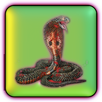 Rebel Snake APK