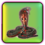 Rebel Snake