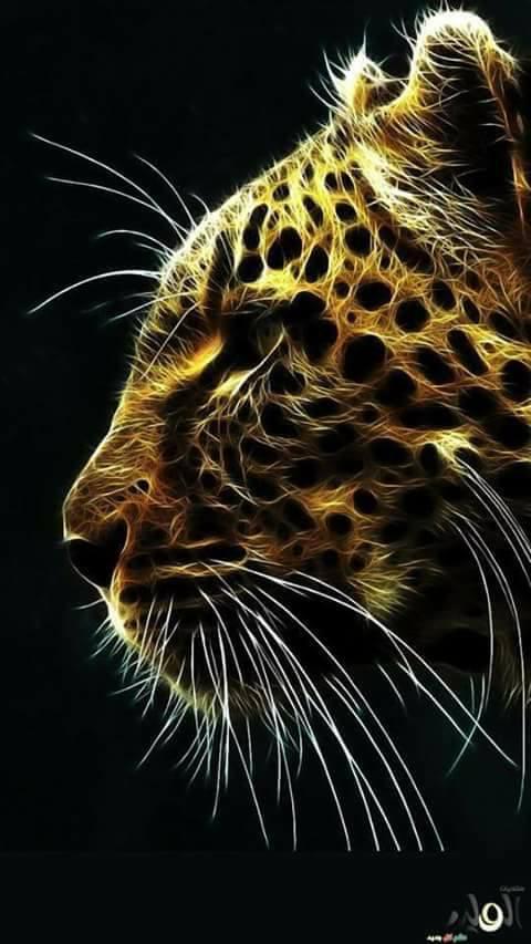 Cute Animals wallpapers 4K (Ultra HD) APK pour Android Télécharger Cute Animals wallpapers 4K (Ultra HD) APK pour Android Télécharger