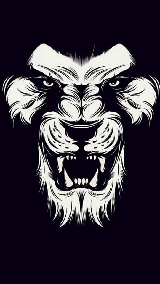 Lion Wallpapers Hd 4k For Android Apk Download