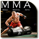 APK MMA Fighting Techniques