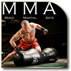 MMA Fighting Techniques icon