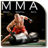 MMA格鬥技 圖標