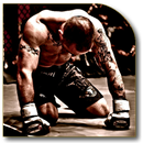 MMA UFC Training-APK