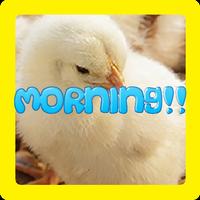 برنامه‌نما MORNING!! عکس از صفحه