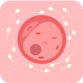 Sperm Prevention