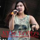 lagu MP3 Dangdut Koplo Terbaru APK