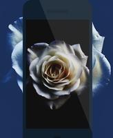 Wallpapers for Samsung Galaxy S6 edge capture d'écran 1