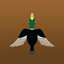 DuckLaunch aplikacja