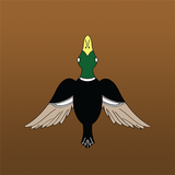 DuckLaunch আইকন