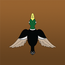 DuckLaunch APK