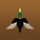 DuckLaunch icône