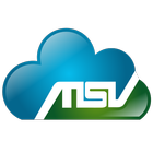 MSV icon