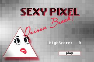 Sexy Pixels: Prison Break poster