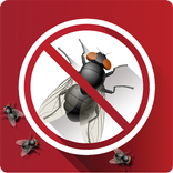 ”Flies Repellent v.5 PRANK